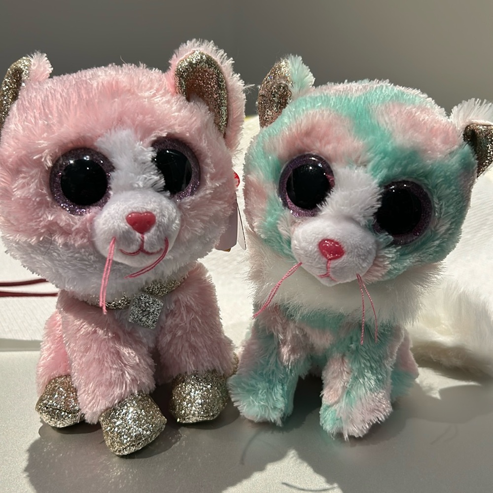 TY collectible Cat Beanie Boos Opal Cat 6" and Fiona Cat 6”.